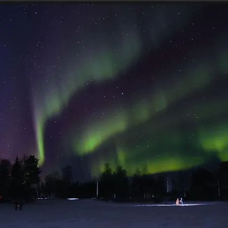 Lapland Forest *